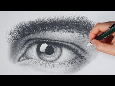 Complete Drawing Course Ultimate Drawing Art with Pencil  Udemy