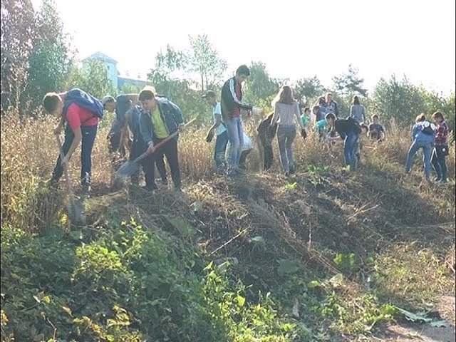 Очистили родники и зону озера