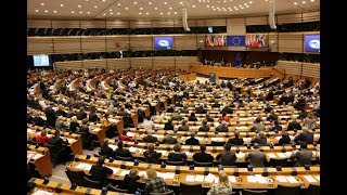 Kásler Árpád felszólalása Brüsszelben a devizahitelesek petíciójának ügyében (videó)