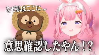 置物の態度にキレる周央サンゴ【にじさんじ切り抜き】