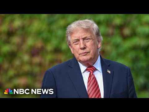 Trump downplays need for guardrails on artificial intelligence