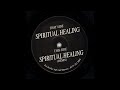 The Muses Rapt - Spiritual Healing (Juan, Domi & Jörg Remix)
