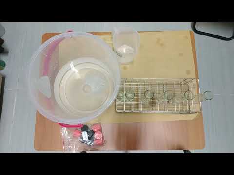 鱉骨骼標本製作—1.5%氫氧化鉀溶液配製