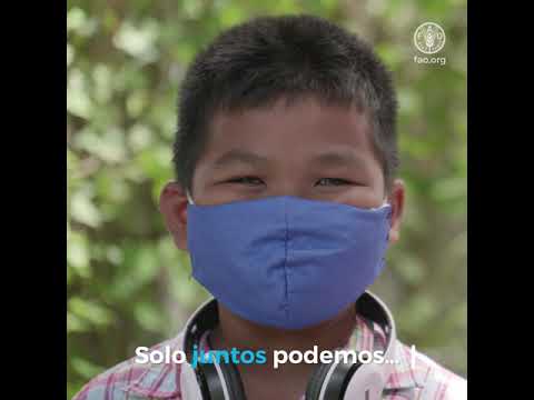 Plan mundial de respuesta humanitaria