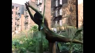 Stevie Wonder  - Black Orchid