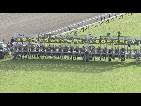 2023 SHUKA SHO (G1) | JRA Official