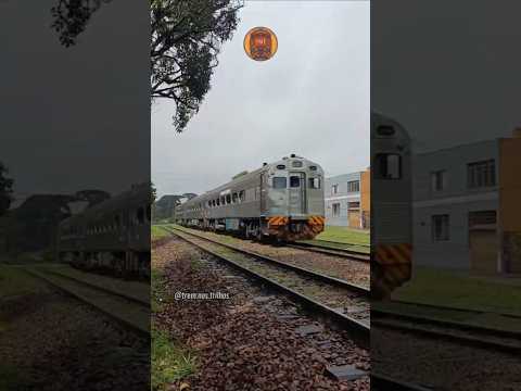 Veículos automotrizes Budd RDC passando por Piraquara no Paraná. #train