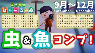 【あつ森】虫と魚コンプリート達成！ 9~12月の虫と魚すべて捕まえてみた。 Bugs to Get and Fish to Get in Sept to Dec.【ACNH】[Eng Sub]