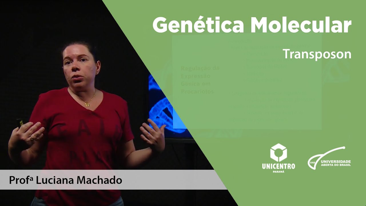 [BIO] Transposon - Genética Molecular