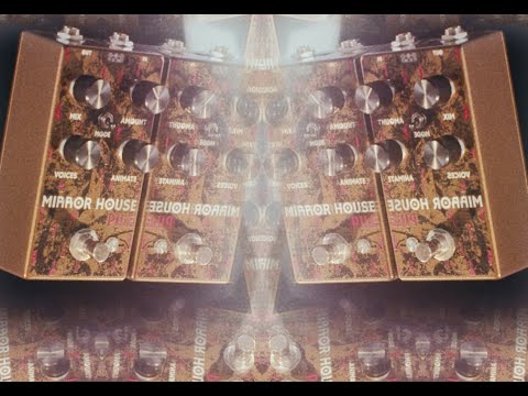 Electronic Audio Experiments Mirror House 2023 - Pile Pedal | Reverb