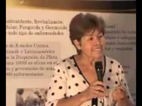 Ataque 500 Abejas
