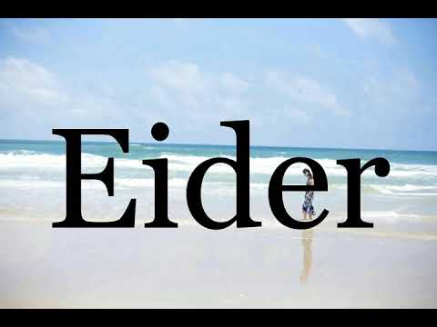 How To Pronounce Eider🌈🌈🌈🌈🌈🌈Pronunciation Of Eider