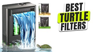 3 BEST Turtle Filter