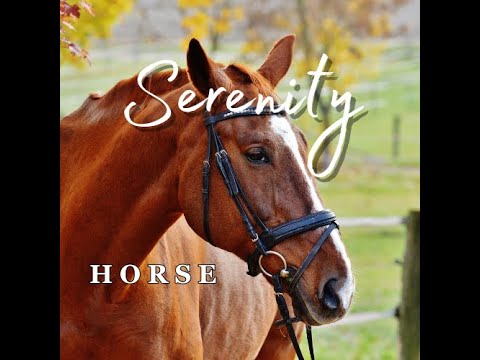 Horses Run Free - Smooth Sounds I Serenity
