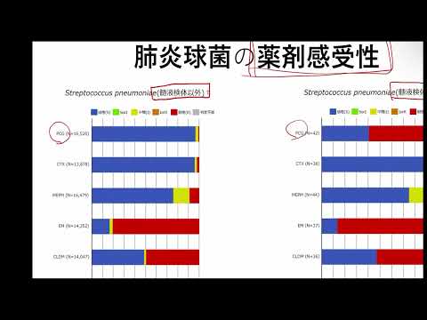 看護学科 肺炎球菌、PRSP、ムコイド型、血清型（莢膜型）