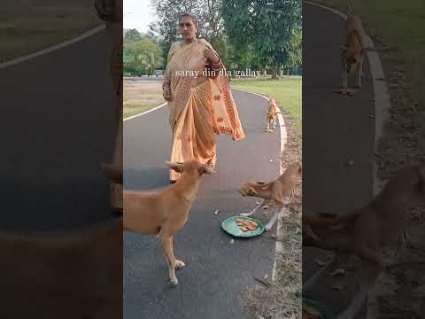 This video is made by Swasti singh