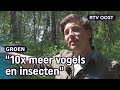 Waarom kappen we bomen voor het klimaat? | RTV Oost