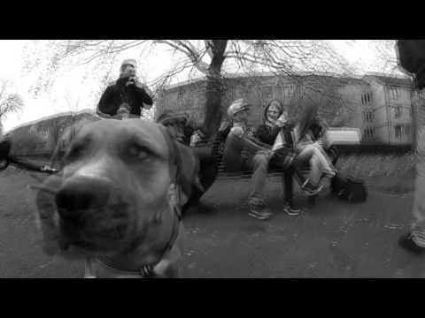 Pawa - Fatamorgana (MASHUP VIDEO)