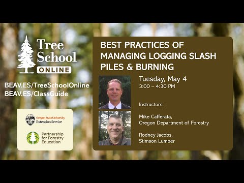 Tree School Online: Managing Logging Slash Piles and Burning