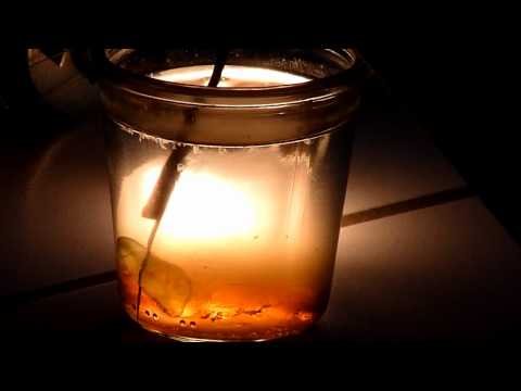 [org{an]imal}.izm demystified - The Making Of