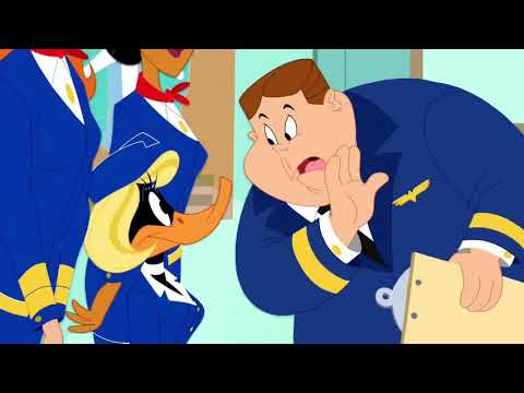 Looney Tunes - MALE flight attendants