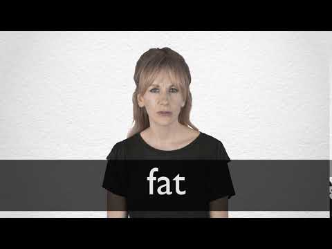 How to pronounce FAT in British English