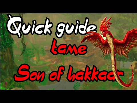 WoW Classic - How to tame a son of hakkar solo!