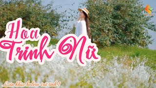 Download lagu HOA TRINH NỮ- Liên khúc bolero trữ tình 1 mp3