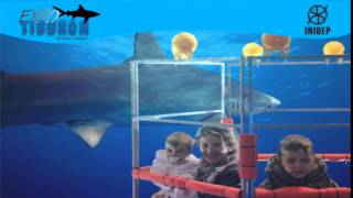 DIA 3 Expo Tiburon195