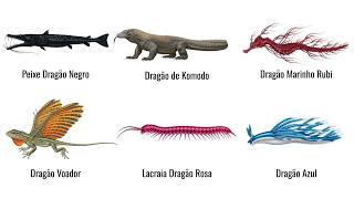 Cada Tipo de Dragão Explicado 10 minutos