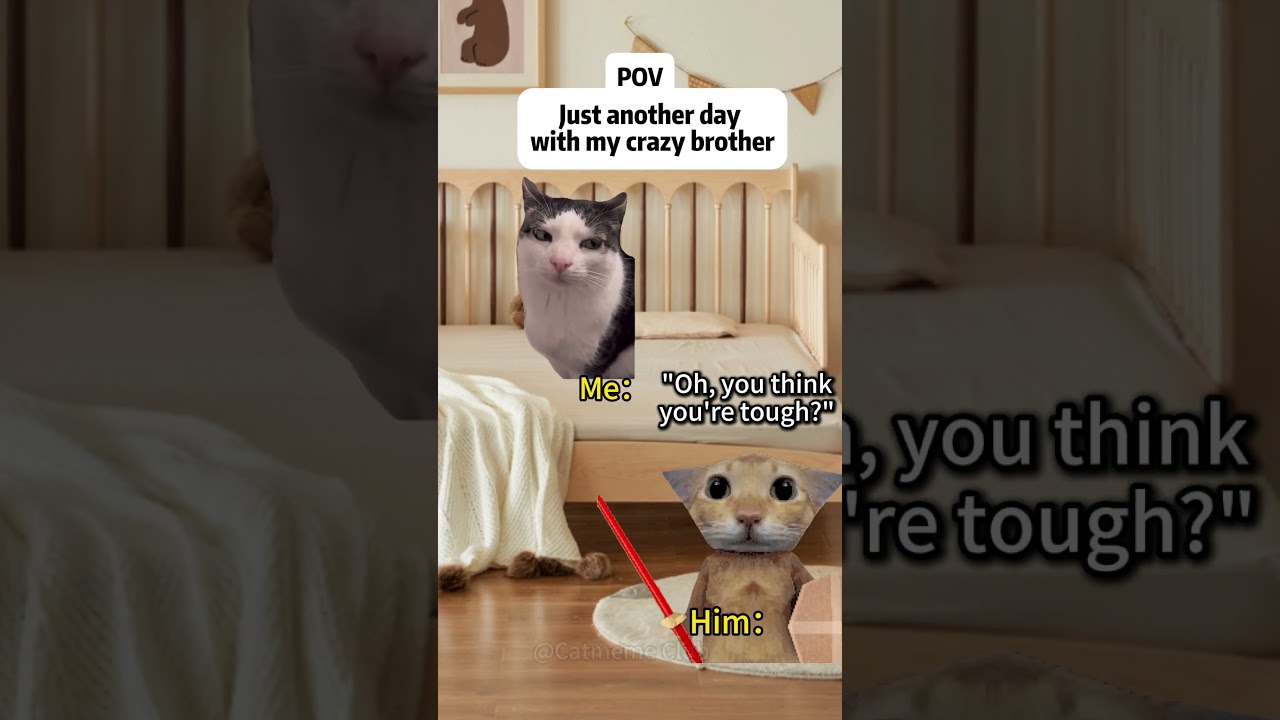 One Day With My Little Brother 😭 | Cat Meme#catmeme#siblings#relatable