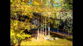 preview picture of video 'Autumn Marijampole Lithuania.avi'