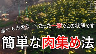 肉の集め方　ワイルドハーツ