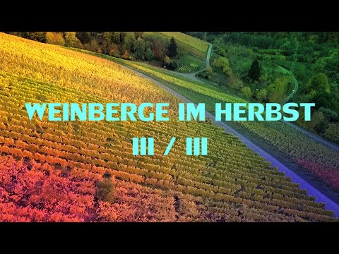 Weinberge im Herbst III/III, Impressionen │ Vineyards in the Autumn in Germany Remstal , impressions