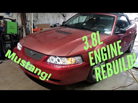 Thumbnail for Ford Mustang engine rebuild! 3.8l v6 by Ford Mustang