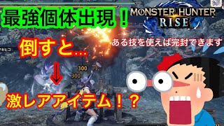 超強化個体イブシマキヒコ到来!クリアすると特別なアイテムが…!!楽々倒せる小技もあるぞ!【モンハンライズ】【MHRise】【立ち回り解説】