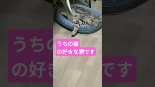 2026年7月21日