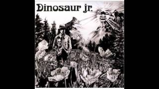 Dinosaur Jr. - Bulbs of Passion