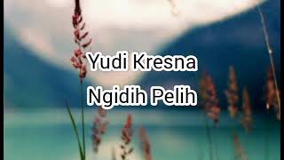 Download lagu Yudi Kresna - Ngidih Pelih mp3