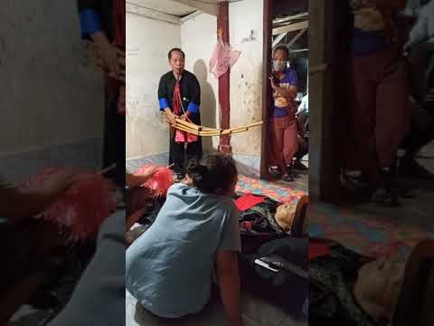 xov ntxiag hawj tshuab zaj qeej tu siav rau hlob ntsuab vaj hawj.07/09/2021