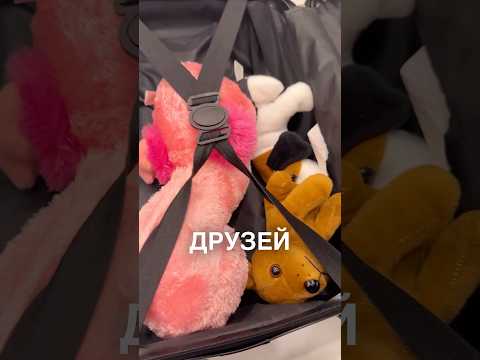 Малые собрали свои чемоданы 😂 #истории #история #новости #новость #shorts