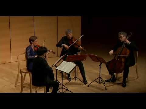 Schubert -  Streichquartett 2 Andantino