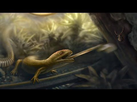 Species from a Lost World : Yaksha perettii | Dr. A. Peretti