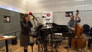 Pink Martini performs Let&#39;s Never Stop Falling in Love