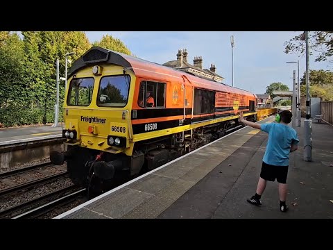 Freightliner 66508 passing Chertsey