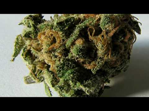 CeZeteN - ZATRUTA NUTA - 04 - [ Brozy (CZN) - Blankiet ]