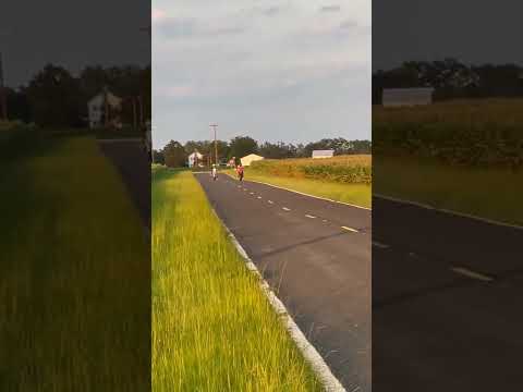 2021 crf450r vs 2019 yz450f