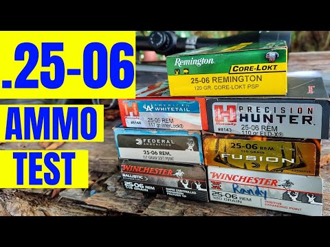 .25-06 Ammo Test [Which one will win???]