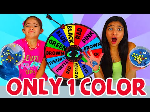 FIX THIS SLIME WITH ONLY 1 COLOR CHALLENGE! MY SISTER CHEATED!!!