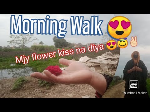 Morning Walk 😍 || 20 kg wait loose in 1 month 😮 || Flowers ❤ || Nosheen kitchen & daily routine ❤